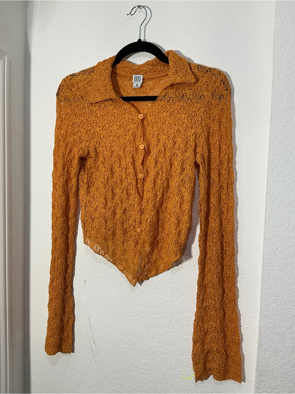 BDG Burnt Orange Lace Long-Sleeve Crop Button-Up Top